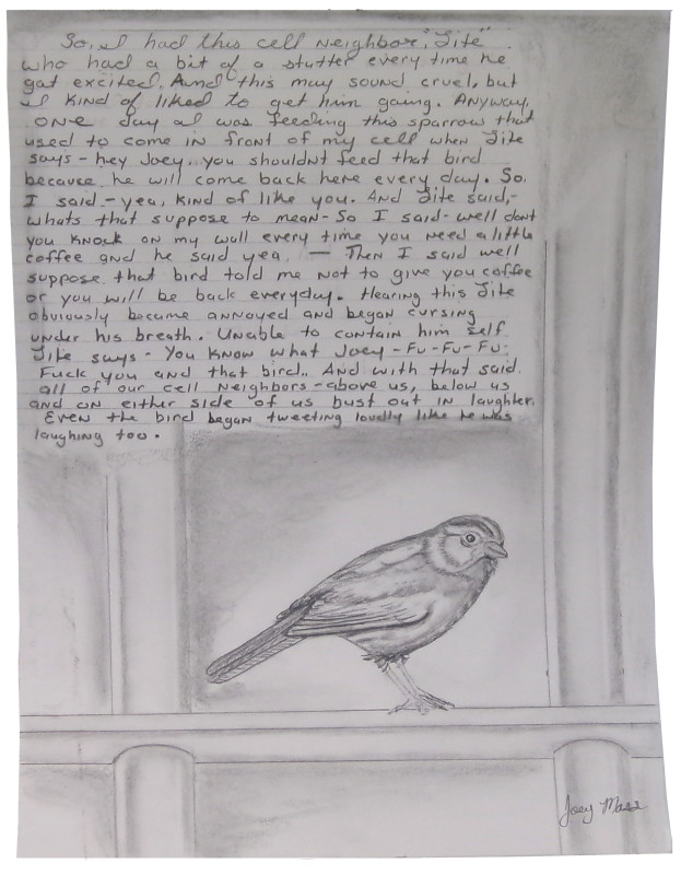A photorealistic drawing of a house sparrow sitting on prison bars. There is a paragraph of indistinct text behind the bird.